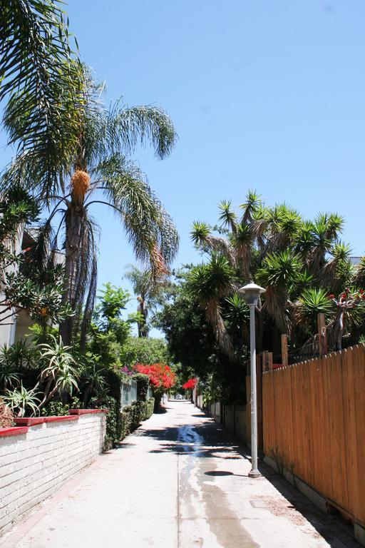 Ellison Los Angeles